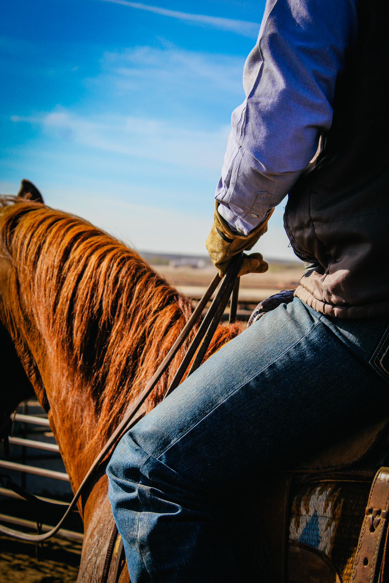 Steven McCutcheon on horseback